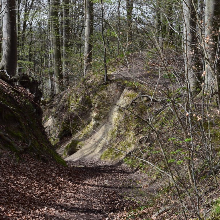 Blick in das Nachtigallental
